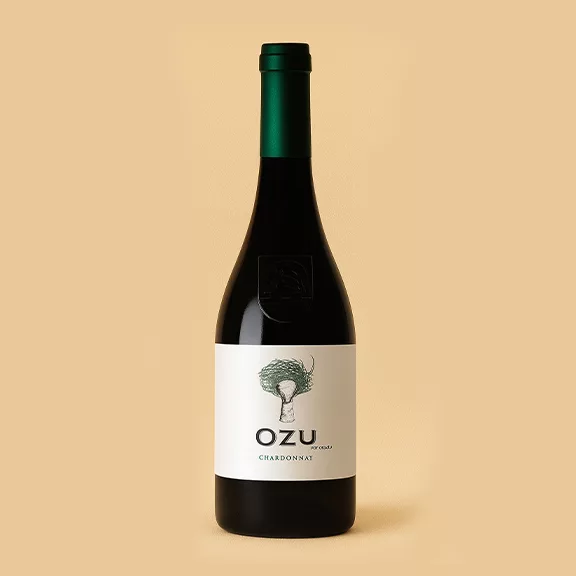 otazu-ozu